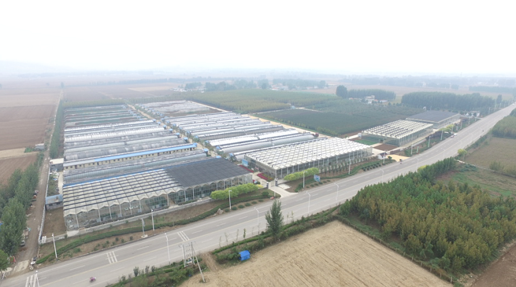 64b2018a8a4e8 64b2018a8a4e8